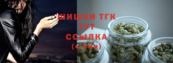 эйфоретик Магас