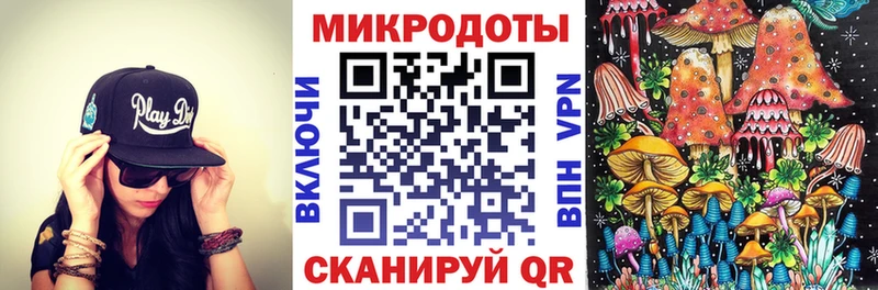 Галлюциногенные грибы Psilocybe  Мышкин 